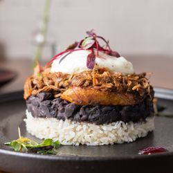 Arepas Latin Cuisine - San Jose