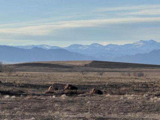 Rocky Mountain Arsenal National Wildlife Refuge by null