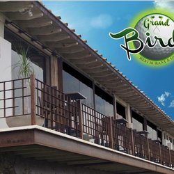 Birdie - El lugar