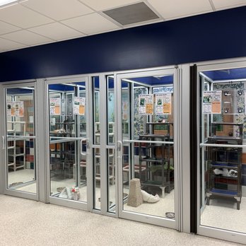 Houston Humane Society - Cat rooms - Animal Shelters Near Me - Houston, Texas Houston Humane Society - Cat rooms - Animal Shelters Near Me - Houston, Texas