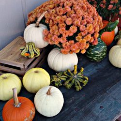 The Dream Restaurant - Autumn display outside the restaurant.