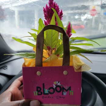 Bloom Garden Shop - Nurseries & Gardening Near Me - Tampa, Florida