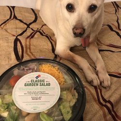 Domino's Pizza - Even my dog knows THIS IS NOT A CAESAR SALAD. This Domino's location is a joke.