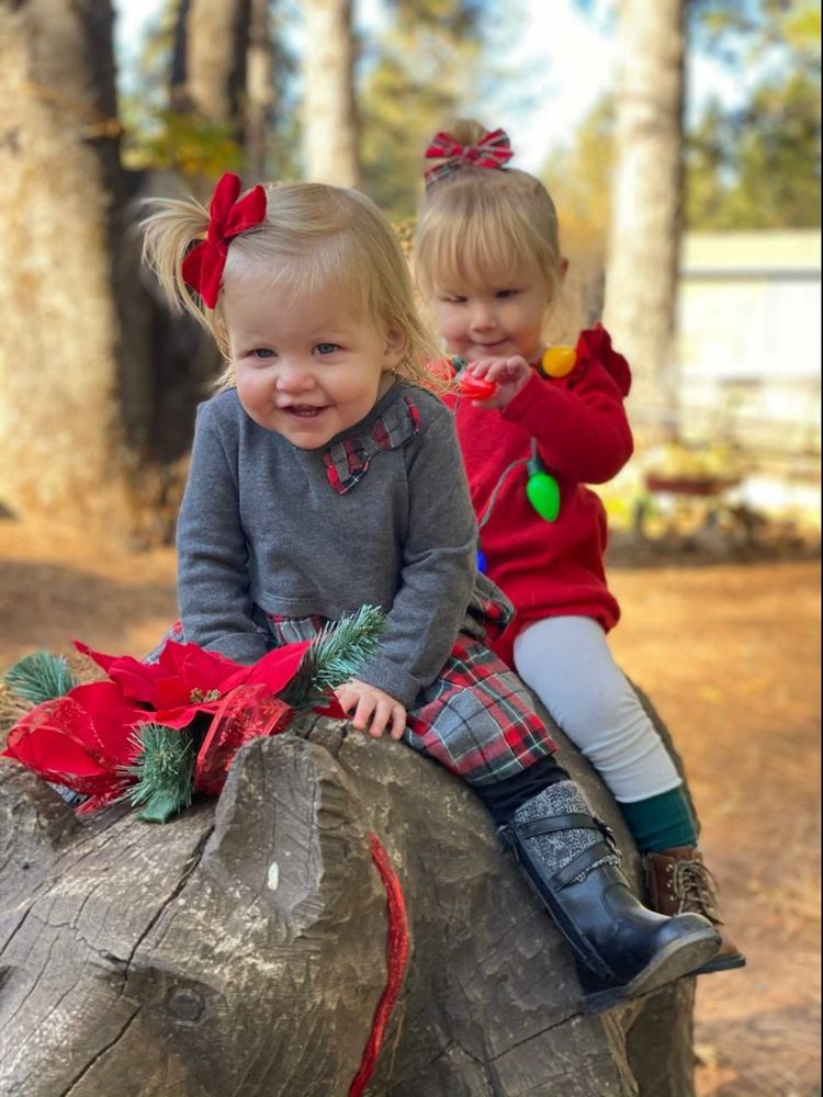 TWIN PINES CHRISTMAS TREE FARM Updated September 2024 5150 Twin