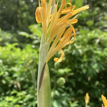 The Magic of Maui Experience - Tours Near Me - Kihei, Hawaii The Magic of Maui Experience - Tours Near Me - Kihei, Hawaii