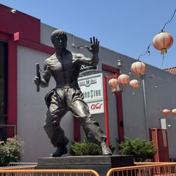 Los Angeles Chinatown - Photography by Kyle 2026 Bruce Lee Statue