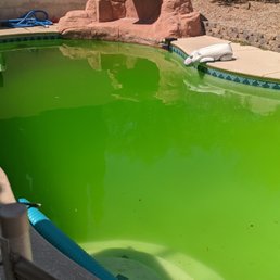 Out pool after 5 weeks of "service." It was perfectly fine for years before we started with Clear Water. Out pool after 5 weeks of "service." It was perfectly fine for years before we started with Clear Water.