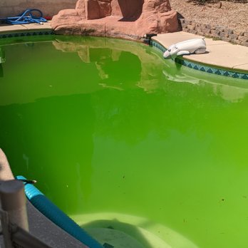 Clear Water Pool Service - Out pool after 5 weeks of "service." It was perfectly fine for years before we started with Clear Water. - Pool Cleaners Near Me Clear Water Pool Service - Out pool after 5 weeks of "service." It was perfectly fine for years before we started with Clear Water. - Pool Cleaners Near Me