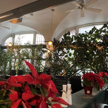 My Thai Vegan Cafe - Thai Near Me - Boston, Massachusetts