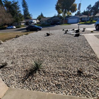 Jimenez Landscaping - a flock of birds in a driveway - Lawn Services Near Me
