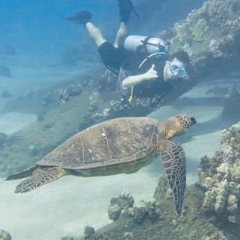 Banyan Tree Divers Maui - Scuba Diving Near Me - Lahaina, Hawaii