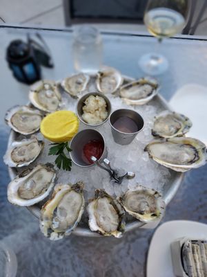 801 Fish by null