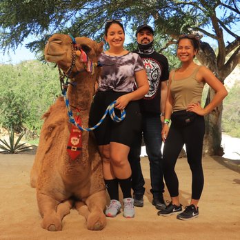 Wild Canyon - Tours Near Me - Cabo San Lucas, BCS