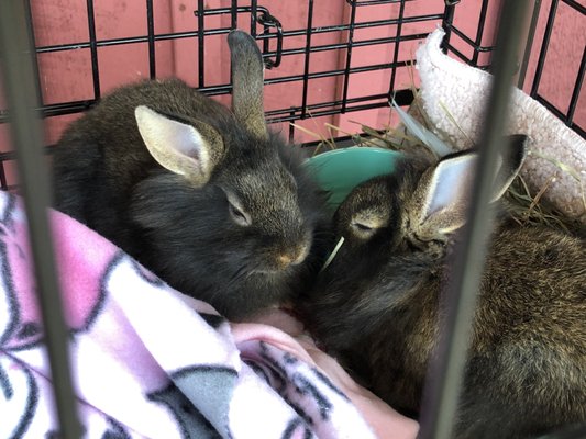 Valley View Farm by null