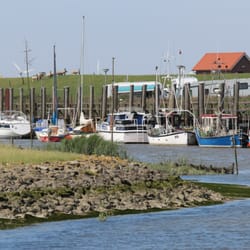Gaststätte Op'n Diek - Der Hafen 2