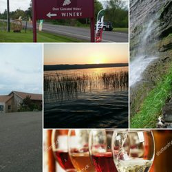 PT Rides - NY wine tour