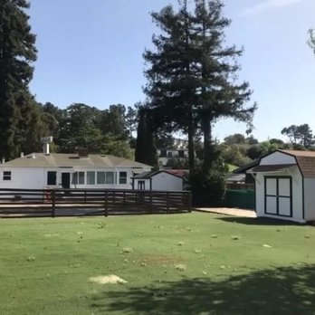Julian Tree Care - This is the before, with tall trees. - Tree Services Near Me - Richmond, California