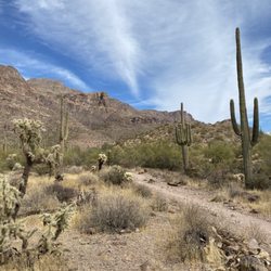 Gold Canyon Mountain Bike Trails