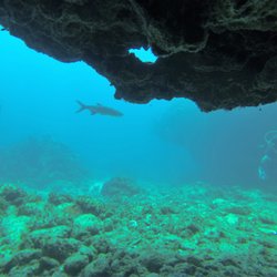Sun's Up Scuba - Grand Cayman