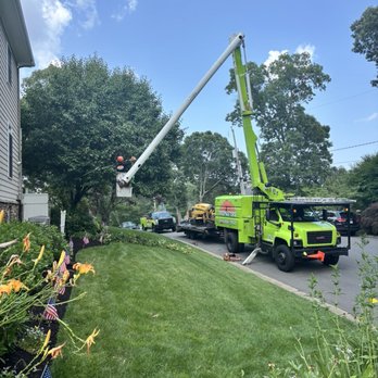 TreeMasters - Tree Services Near Me - Brick, New Jersey TreeMasters - Tree Services Near Me - Brick, New Jersey