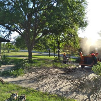 Tactical Tree Operations - Tree Services Near Me