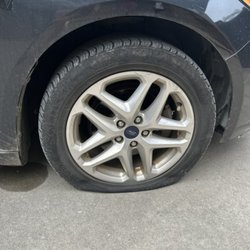 Pet Care Blue Ridge - Wheel fun