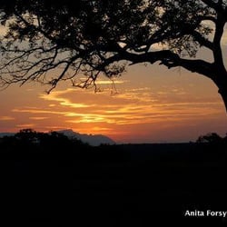 African Eyes Travel