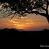 African Eyes Travel gift card