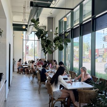 Go Go Avocado - Interior - Coffee & Tea Near Me - Tempe, Arizona