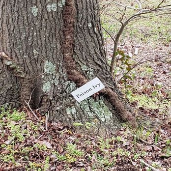The Matteson Trail - Hiking Near Me - Hampton, Virginia