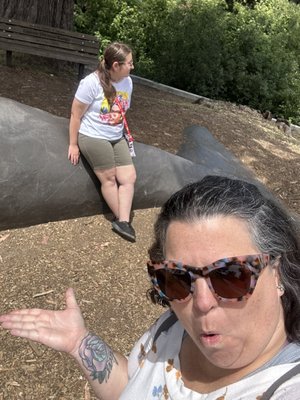 Santa Cruz Museum of Natural History by null