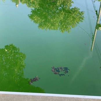 ASP - America's Swimming Pool Company - Less than two weeks after taking our money and disappearing. - Pool Cleaners Near Me ASP - America's Swimming Pool Company - Less than two weeks after taking our money and disappearing. - Pool Cleaners Near Me