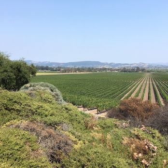 Gloria Ferrer Winery - Wineries Near Me - Sonoma, California