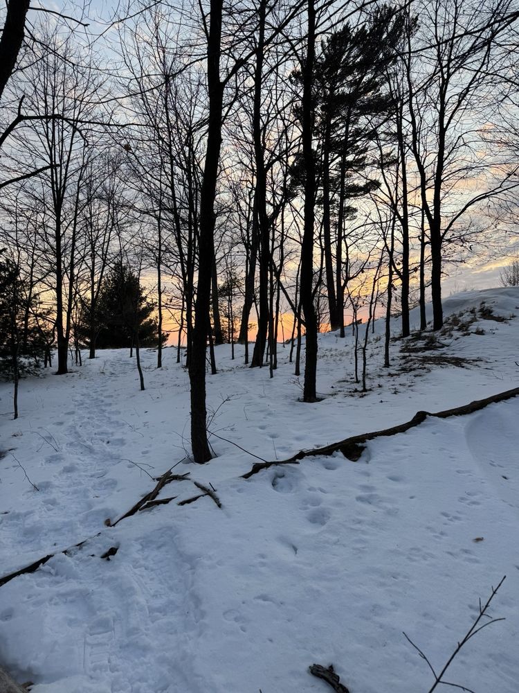 Muskegon Luge Adventure Sports Park Logo