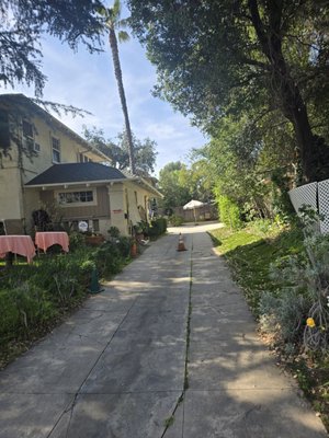 Rose Tree Cottage by null