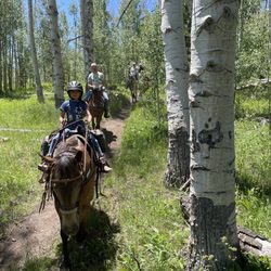 Thunder Horse Outfitters - Group on the trail