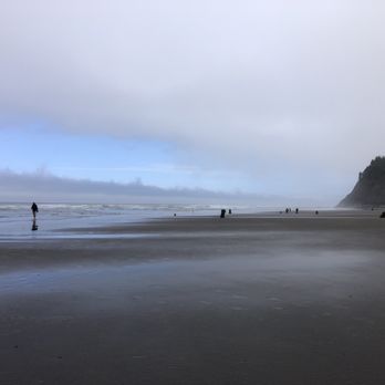 Neskowin Beach State Park - Beaches Near Me Neskowin Beach State Park - Beaches Near Me