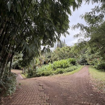 Lydgate Farms - Part of the walking paths during the tour. - Botanical Gardens Near Me - Kapaa, Hawaii Lydgate Farms - Part of the walking paths during the tour. - Botanical Gardens Near Me - Kapaa, Hawaii