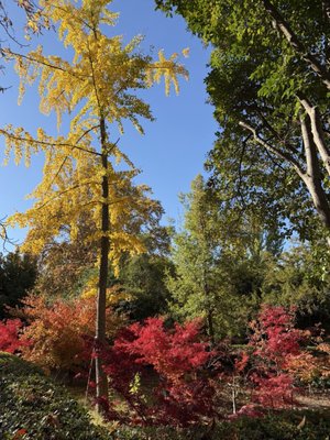 Real Jardín Botánico by null