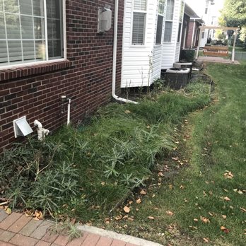 Kris's Lawn Care - Before - Landscaping Near Me - Sterling Heights, Michigan Kris's Lawn Care - Before - Landscaping Near Me - Sterling Heights, Michigan