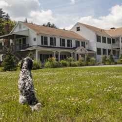 Layla's Riverside Lodge - Layla looking over the Lodge