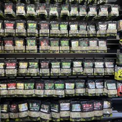 All types of Earth Kratom