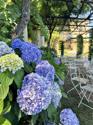 Infinity Terrace by null