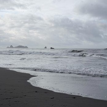 Crissey Field State Park - Parks Near Me - Brookings, Oregon Crissey Field State Park - Parks Near Me - Brookings, Oregon