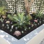 Photo of Razo Landscaping