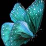Photo of Moongoddess Memoirs Massage and Wellness