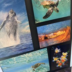 Island Living Gifts