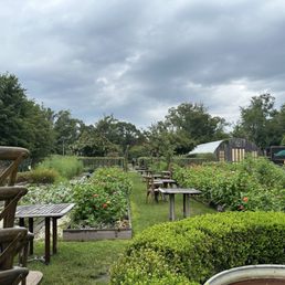 Garden Garden