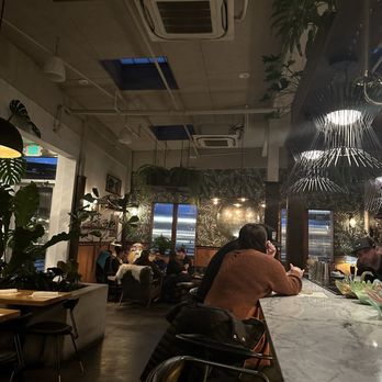 Fern Bar - Inside - Bars Near Me - Sebastopol, California