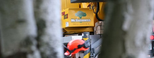 McGuinness Tree Service - tree service in Nashua, NH